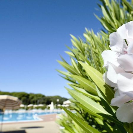 Isa-Apartments 4 Beds In Residence With Swimming-Pool In San Vincenzo, Just 600 Meters From The Sea Exterior photo
